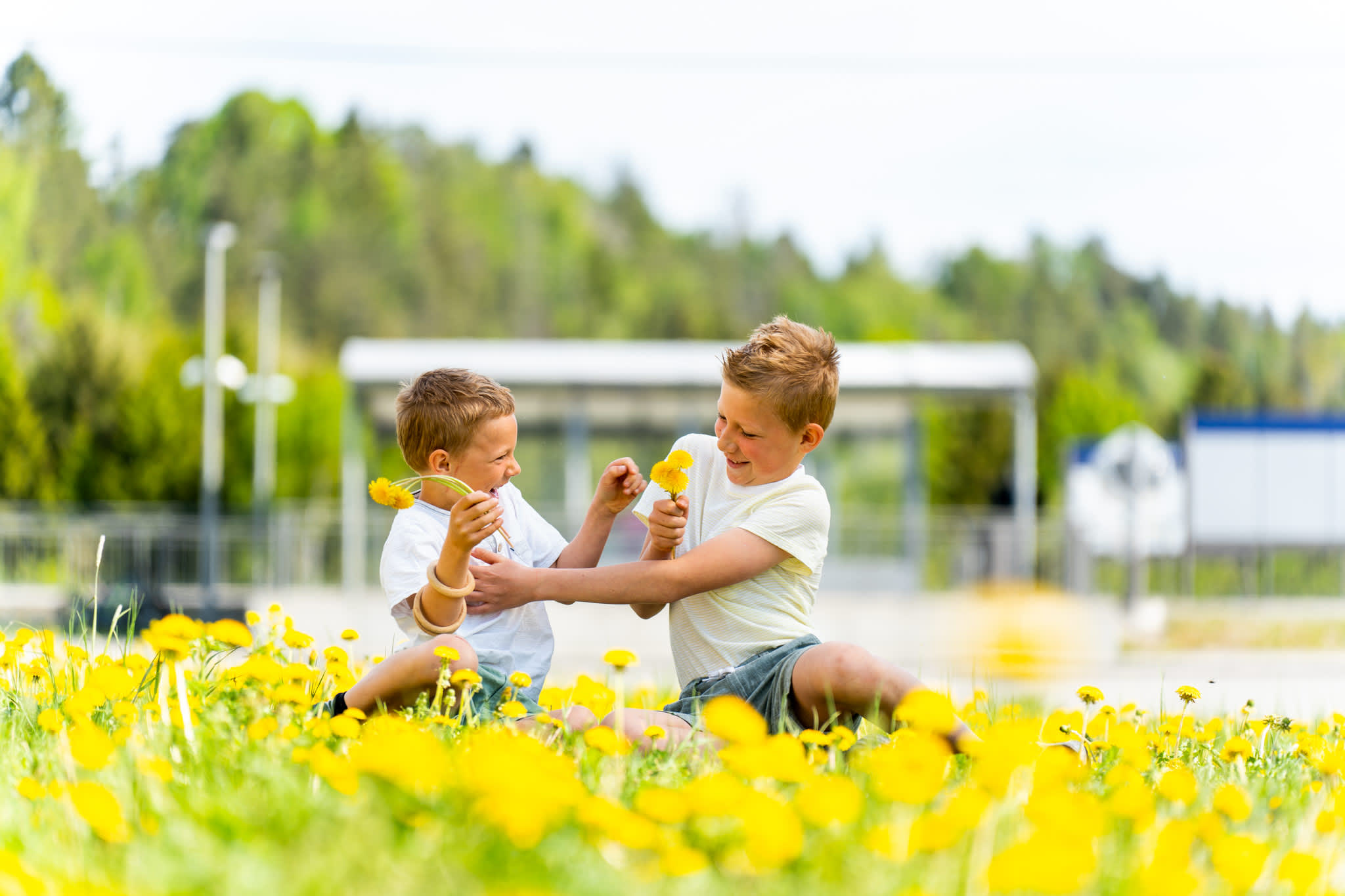 To gutter som sitter i en blomstereng