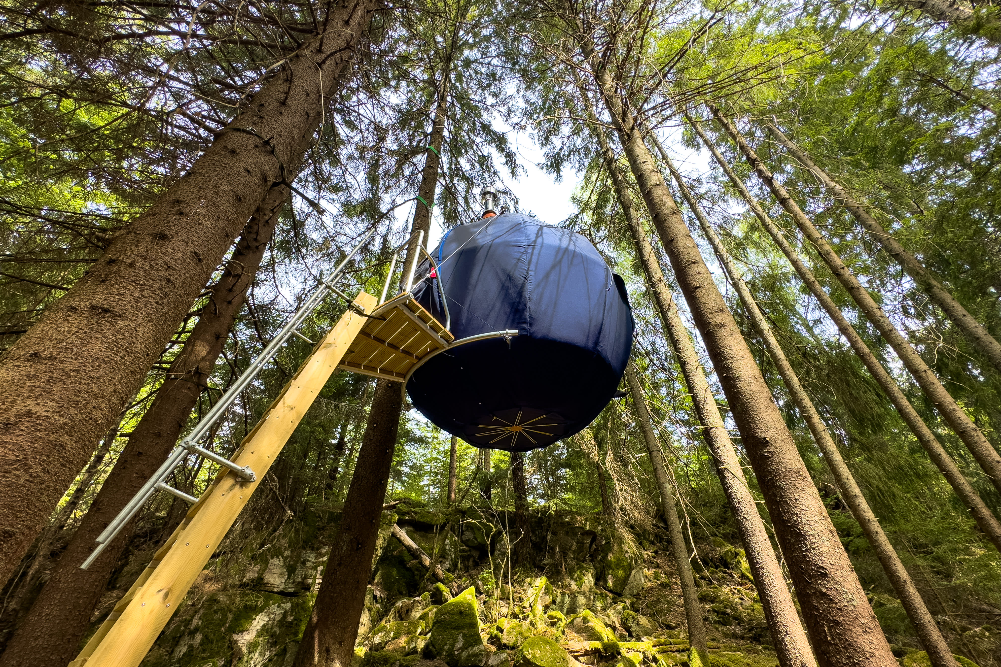 A big blue ball that hangs in the trees you can sleep in - called the blueberry