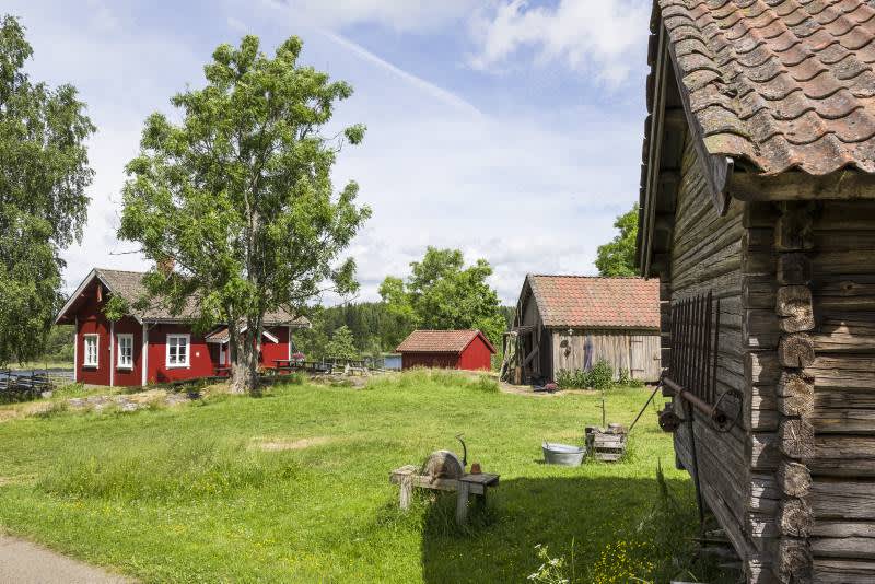 Flott sommerdag på Bøensætre i Aremark