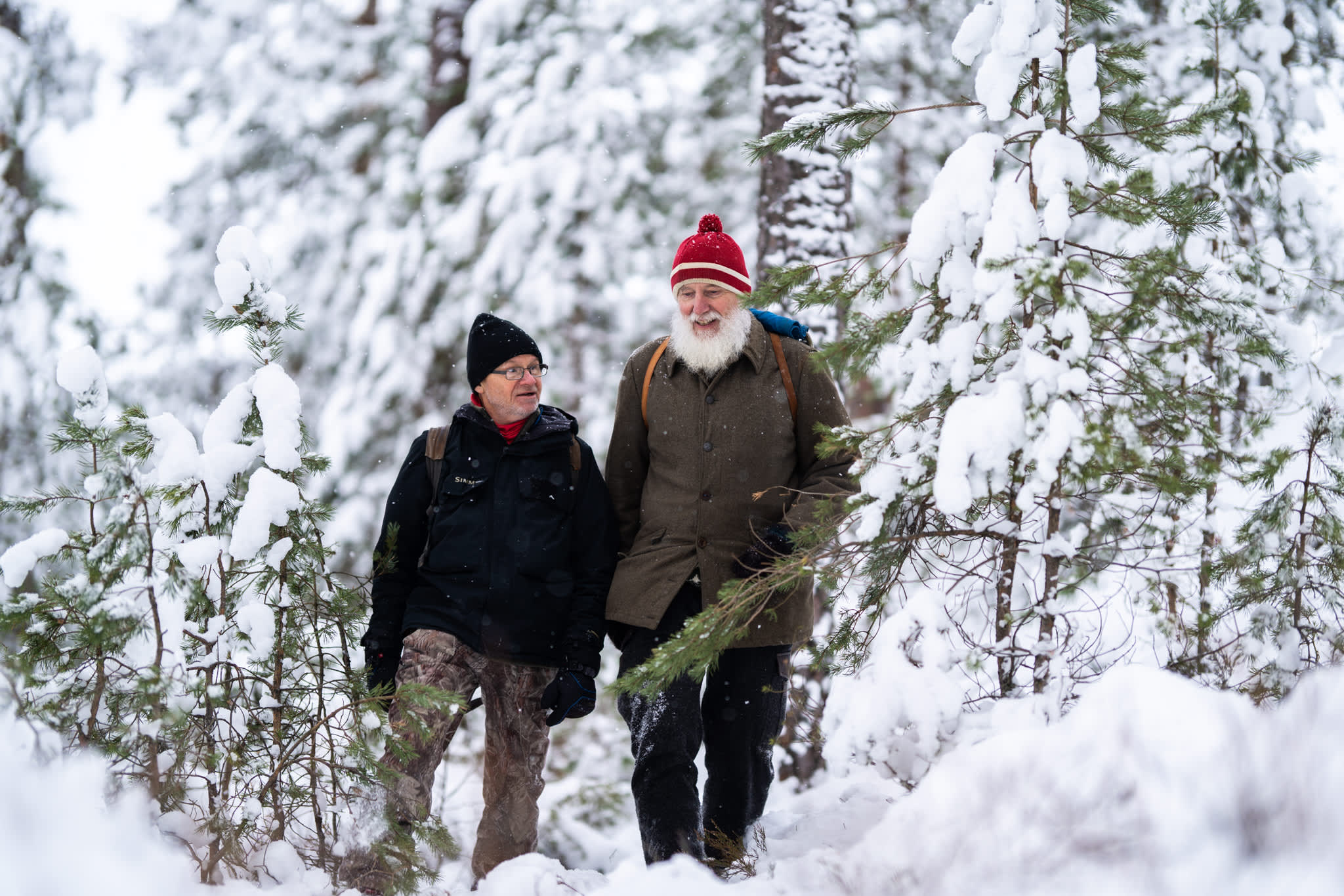 To menn på tur i vinterskogen