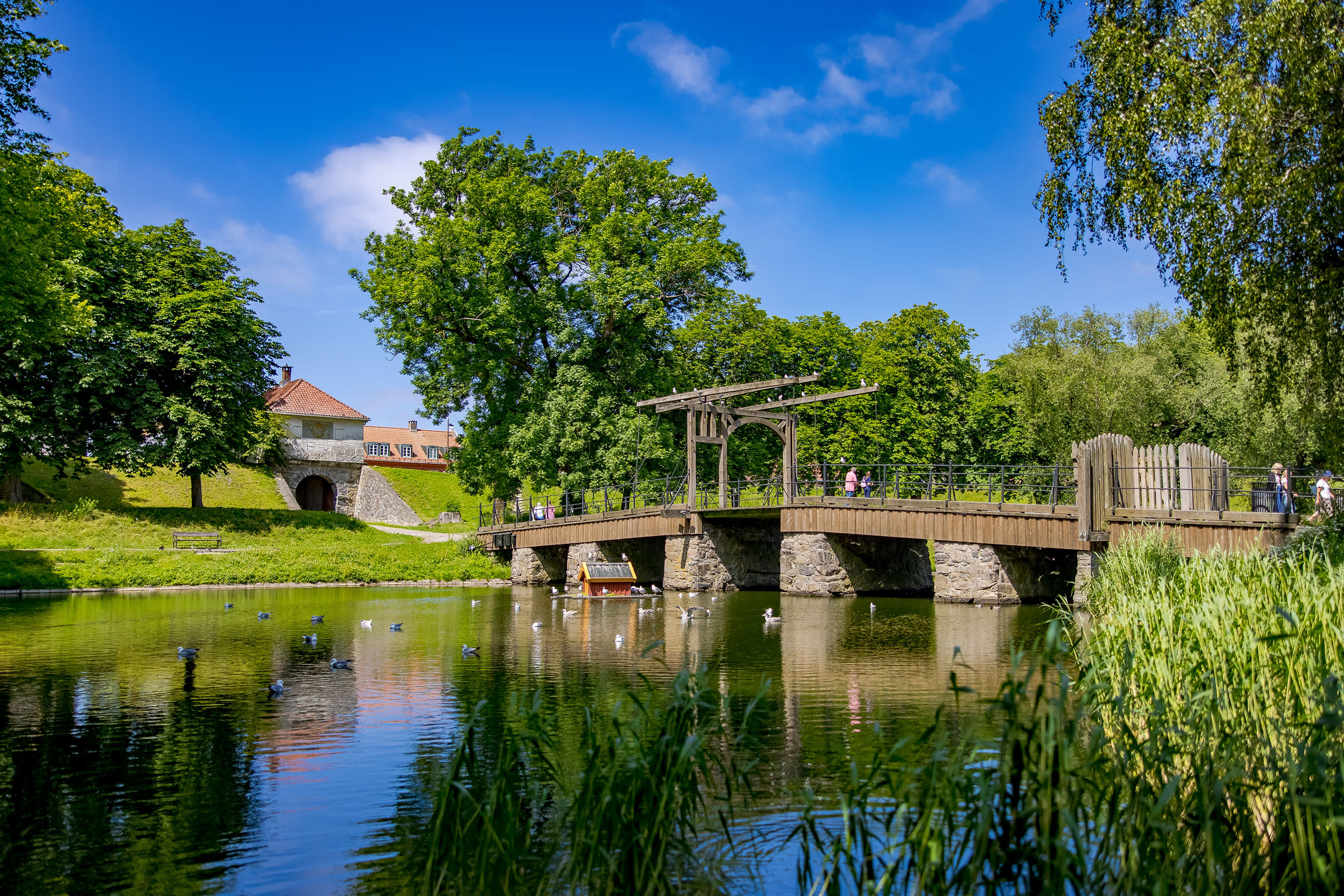 Vindebrua inn til Gamlebyen i Fredrikstad
