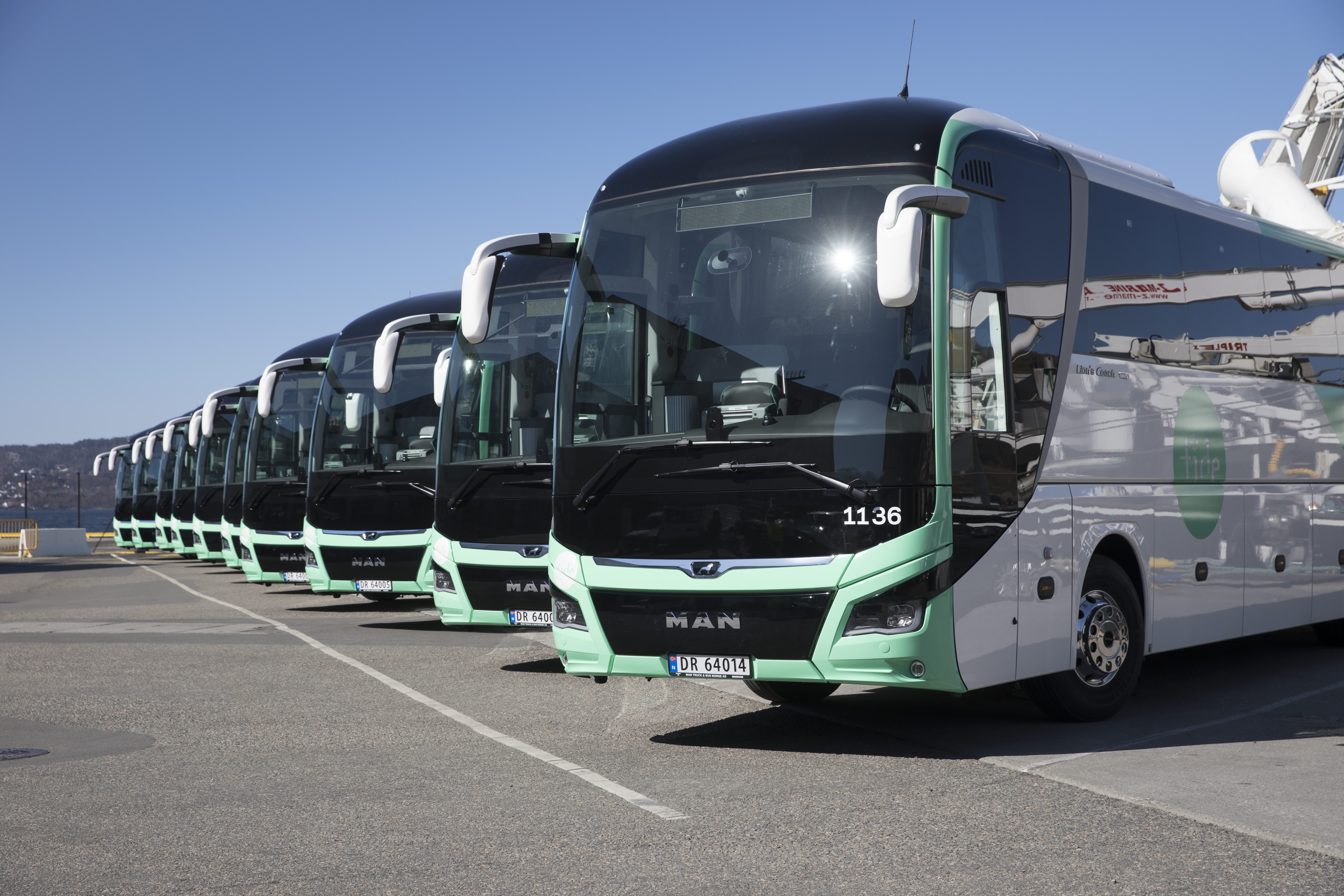 Many buses in one parking lot