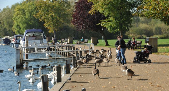 Thames Path Marlow