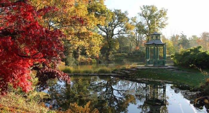 Cliveden National Trust, Water Garden, November