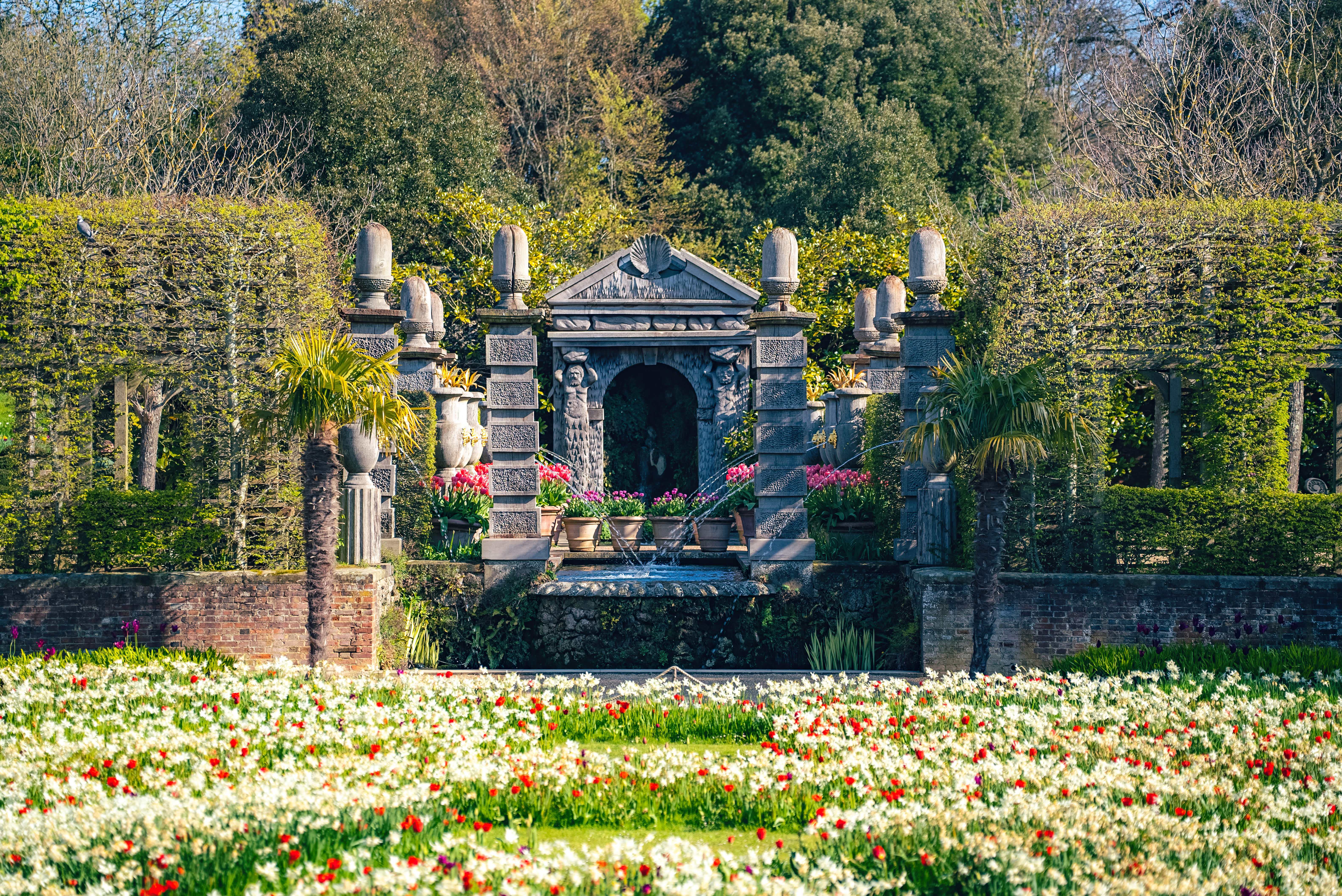 White and red Tulip display at Arundel Castle gardens in Sussex