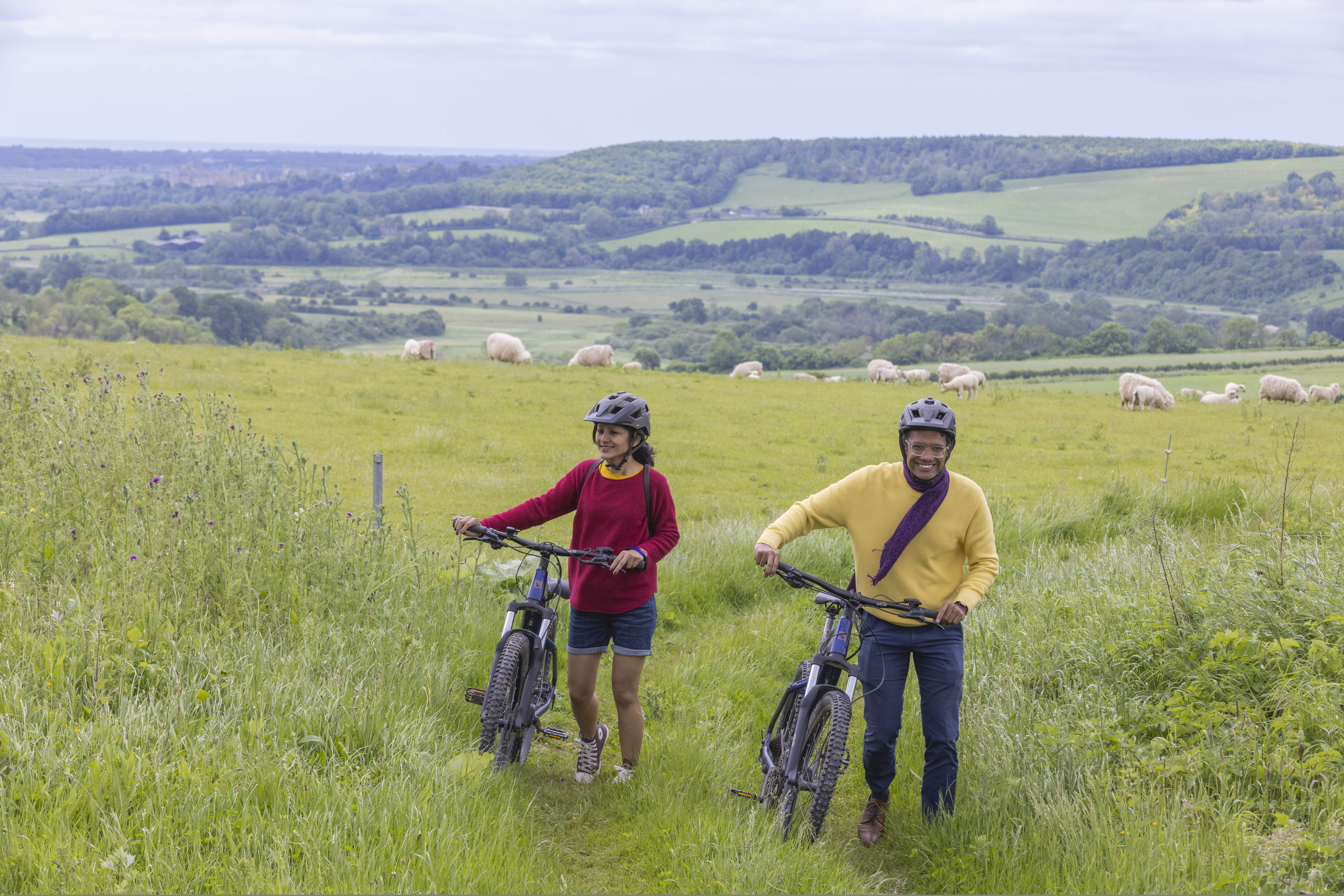 A couple pushing their bikes along a grassy track next to a field of sheep on the South Downs way, Sussex