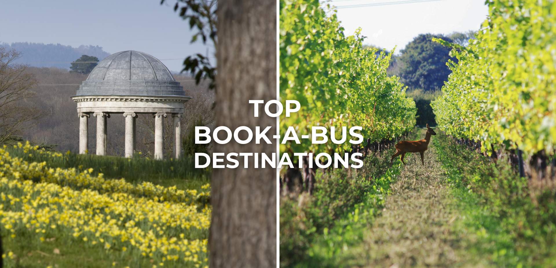 Explore Sussex by Bus: Top Destinations with Book-a-Bus