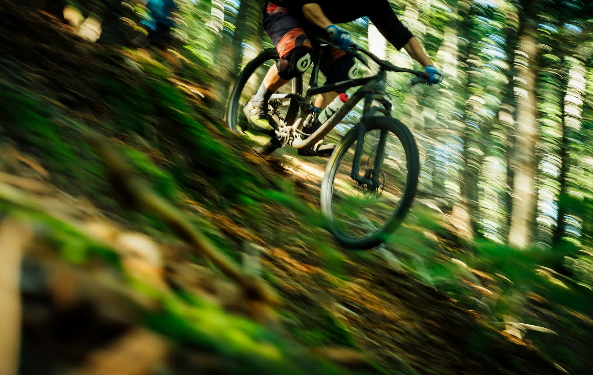 Cycling routes in Sussex