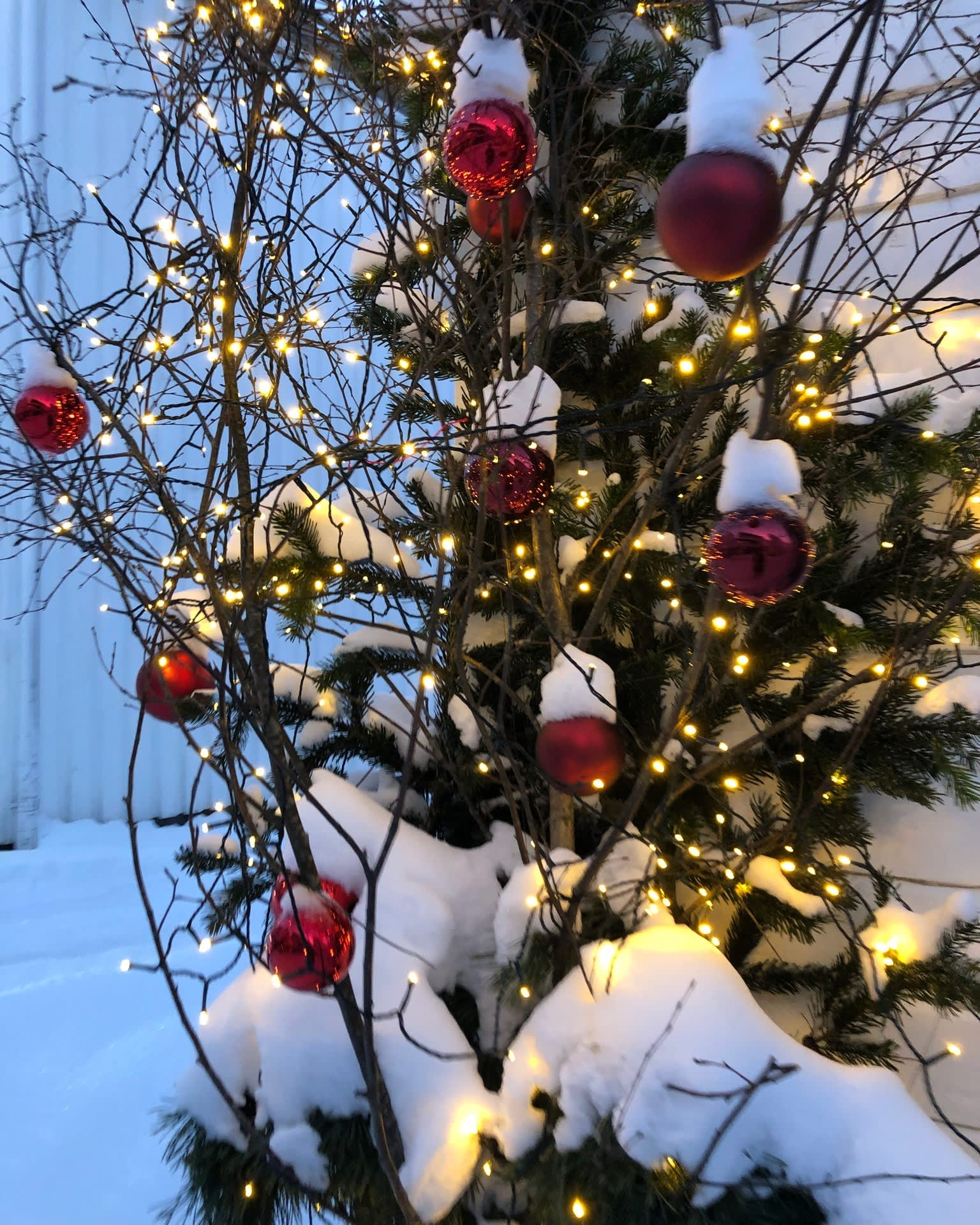 Jule kule i Tvedestrand