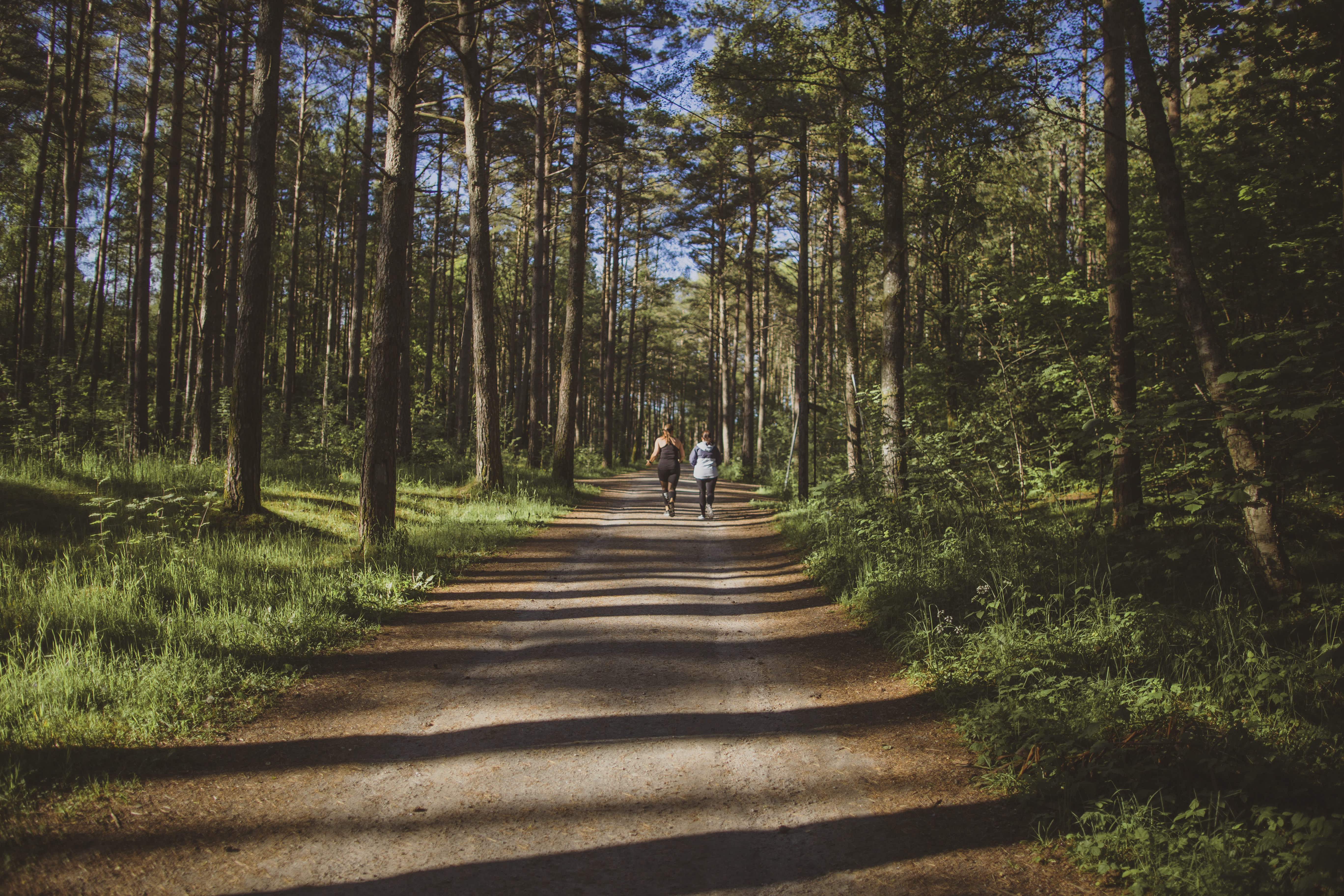 2 damer jogger i tett skog