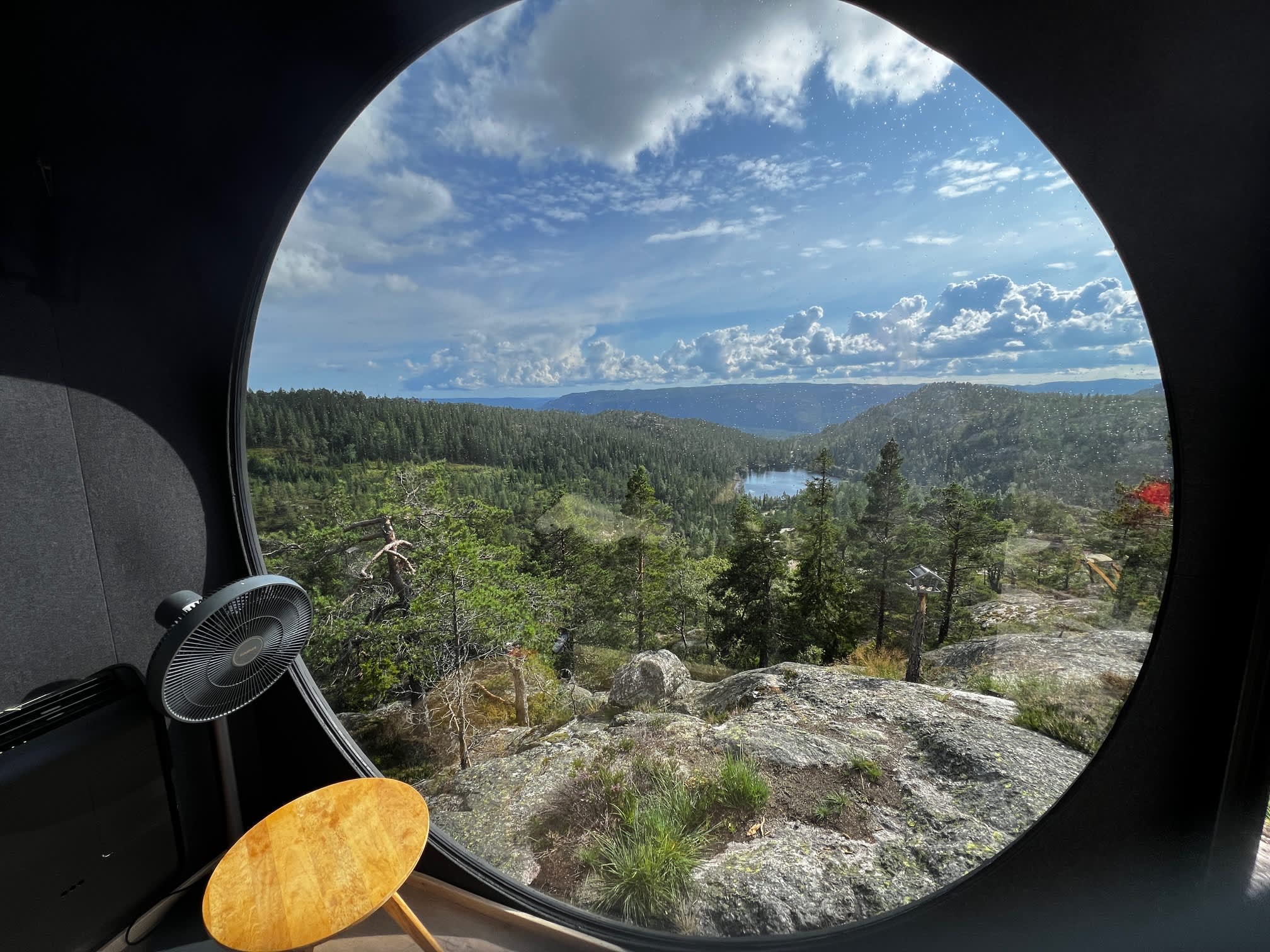 utsikt fra birdbox gjennom rundt vindu