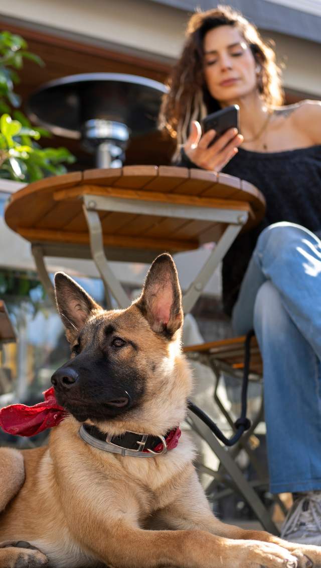 A dog sitting under a table outside with its owner, a lady sits on her phone at a table and chairs