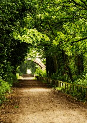 A cycle path in Wirral Country Park with green trees over the walkway and a brick bridge in the distance