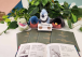 Plush birds with Downtown Bird Guide Books and binoculars - hummingbird, bluebird, Blue jay, and robin