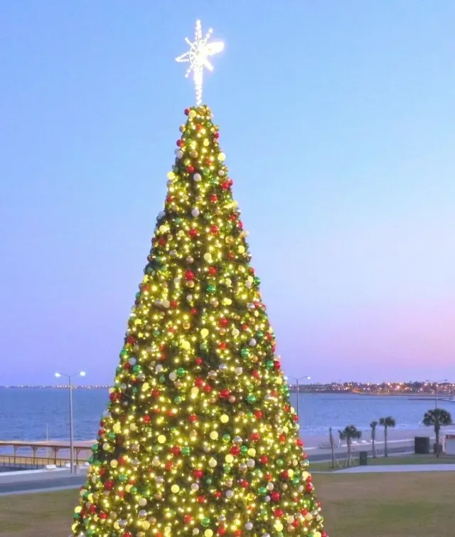 Christmas Tree Water's Edge Park