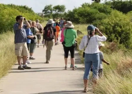 Oso Bay Wetlands.png