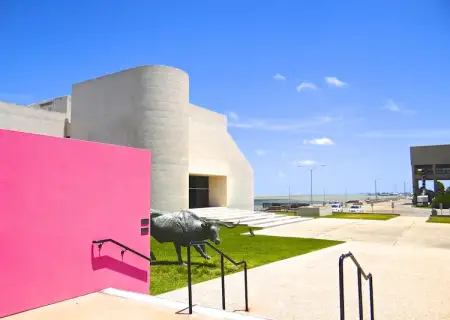 Art Museum of South Texas