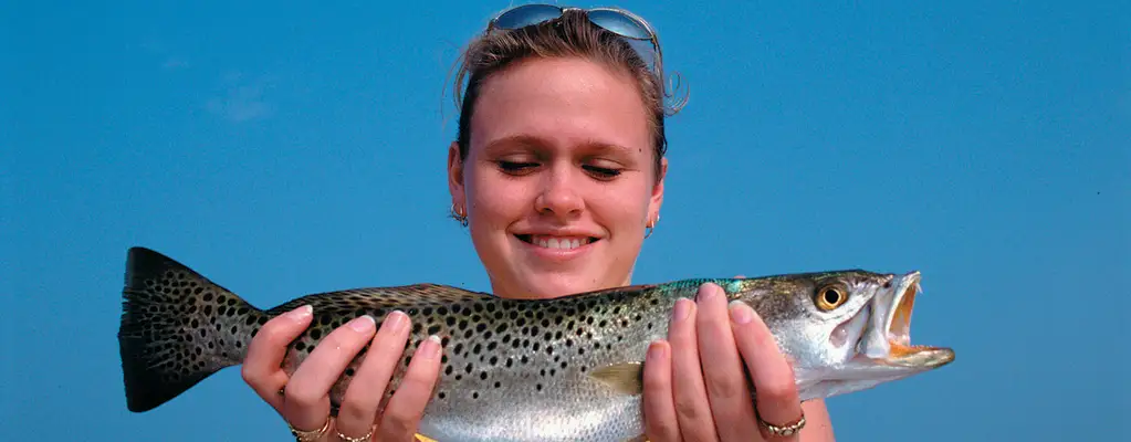 Trout Fishing in Florida: Tips for Catching Speckled Sea Trout