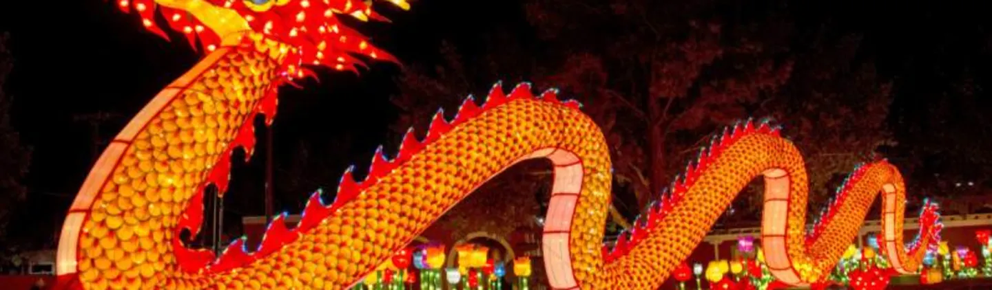Knoxville's first-ever Chinese Dragon Lights Lantern Festival