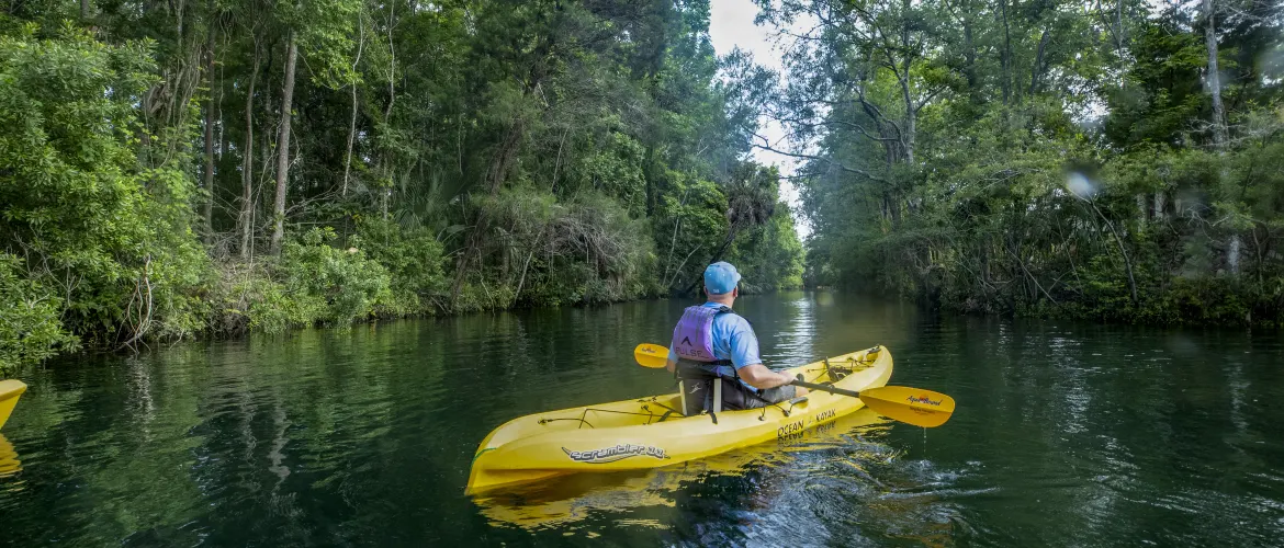 Boca Raton Travel Guide  Boca Raton Tourism - KAYAK