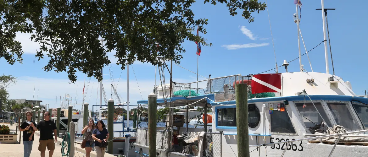 Florida, Tarpon Springs, Anclote River Greek commercial sponge