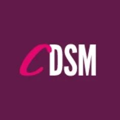 DSM - icon