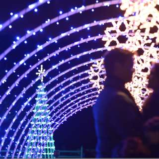 Winter Lights at the NC Arboretum