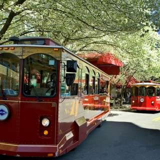 Grayline Asheville Trolley Tours