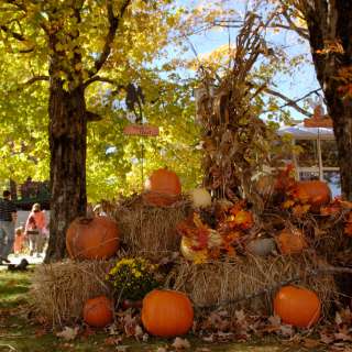 Halloween in Asheville