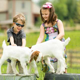 Children with Goats