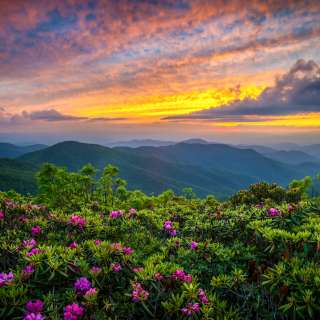 Sun setting over mountain vista with catawba rhodoendrons blooming in foreground
