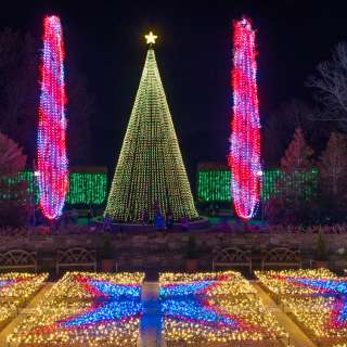 Winter Lights at the NC Arboretum