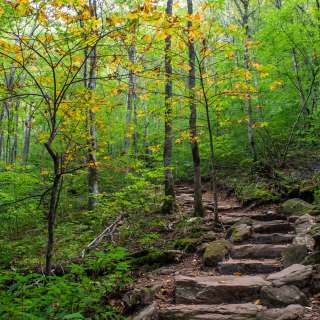 The trail to Skinny Dip Falls near Asheville, NC