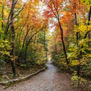 2018 Fall Color North Carolina Arboretum Oct. 31