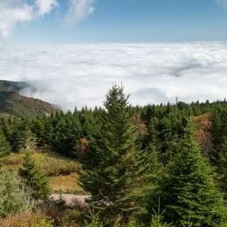 Thermal inversion clouds at Mount Mitchell near Asheville, NC