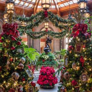 The Winter Garden decorated for Christmas at Biltmore in Asheville, NC