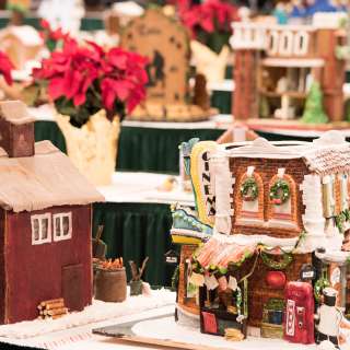 Gingerbread Competition