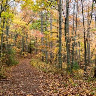 Hard Times Loop Trail Fall Color