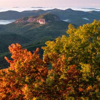 Early fall color develops at Pounding Mill Overlook near Mount Pisgah and Asheville, NC on the Blue Ridge Parkway.