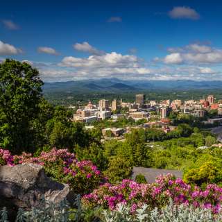 Downtown Asheville Skyline with Rhododendron