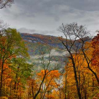 2015 Fall Color: Hickory Nut Gorge