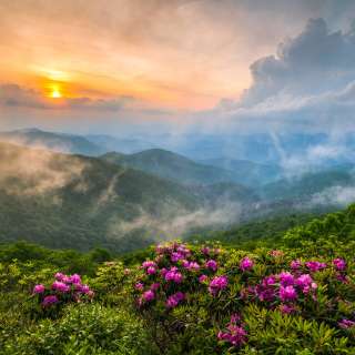 Appalachian Allure
