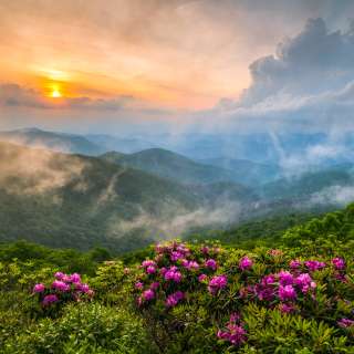 Appalachian Allure