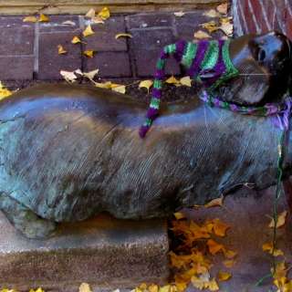 Cat Statue on Wall St