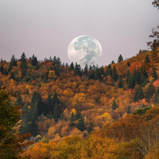 Fall moon