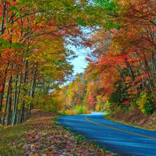 2014 Fall Color Milepost 399
