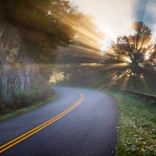 Light rays stream through a tree along the Blue Ridge Parkway near Asheville, NC