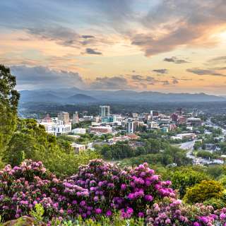 Asheville, NC skyline with beautiful rhododendron blooms