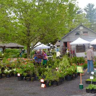 French Broad River Garden Club Foundation Annual Plant Sale