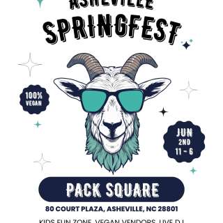 Asheville Springfest